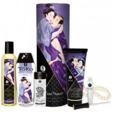 Подарочный набор Shunga Carnal Pleasures Collection Плотские утехи