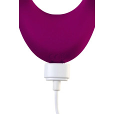 Многофункциональный вибратор для пар Satisfyer Endless Joy малиновый