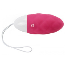 Перезаряжаемое виброяйцо с пультом дистанционного управления Ijoy Wireless Remote Control Rechargeable Egg