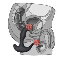 Перезаряжаемый стимулятор простаты с вибрацией Rechargeable P-spot Embracer