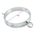 Ошейник стальной женский BDSM Female Collar