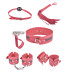 Бондажный набор Taboo Accessories Extreme Set №7