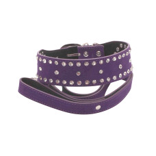 Бондажный набор Taboo Accessories Extreme Set №10